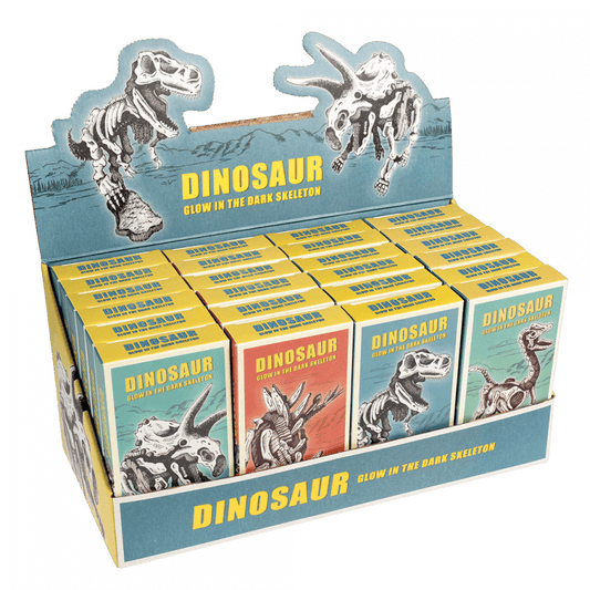 Glow in the Dark Dinosaur Kit
