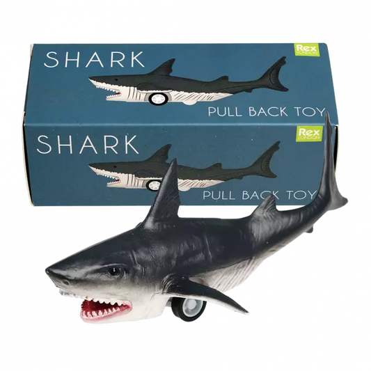 Rex London Pull Back Shark