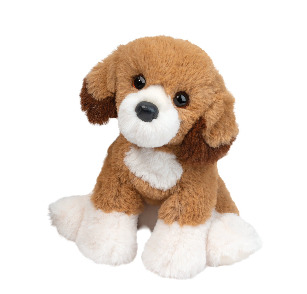 Shirlie the Doodle Dog