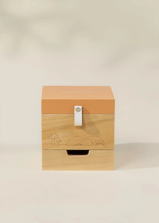 Wooden Musical Treasure Box - Nature