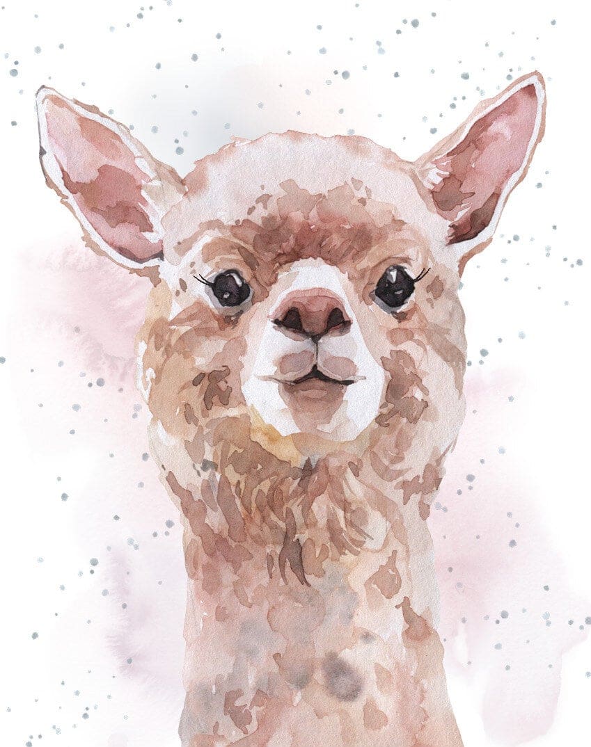 No Prob-Llama