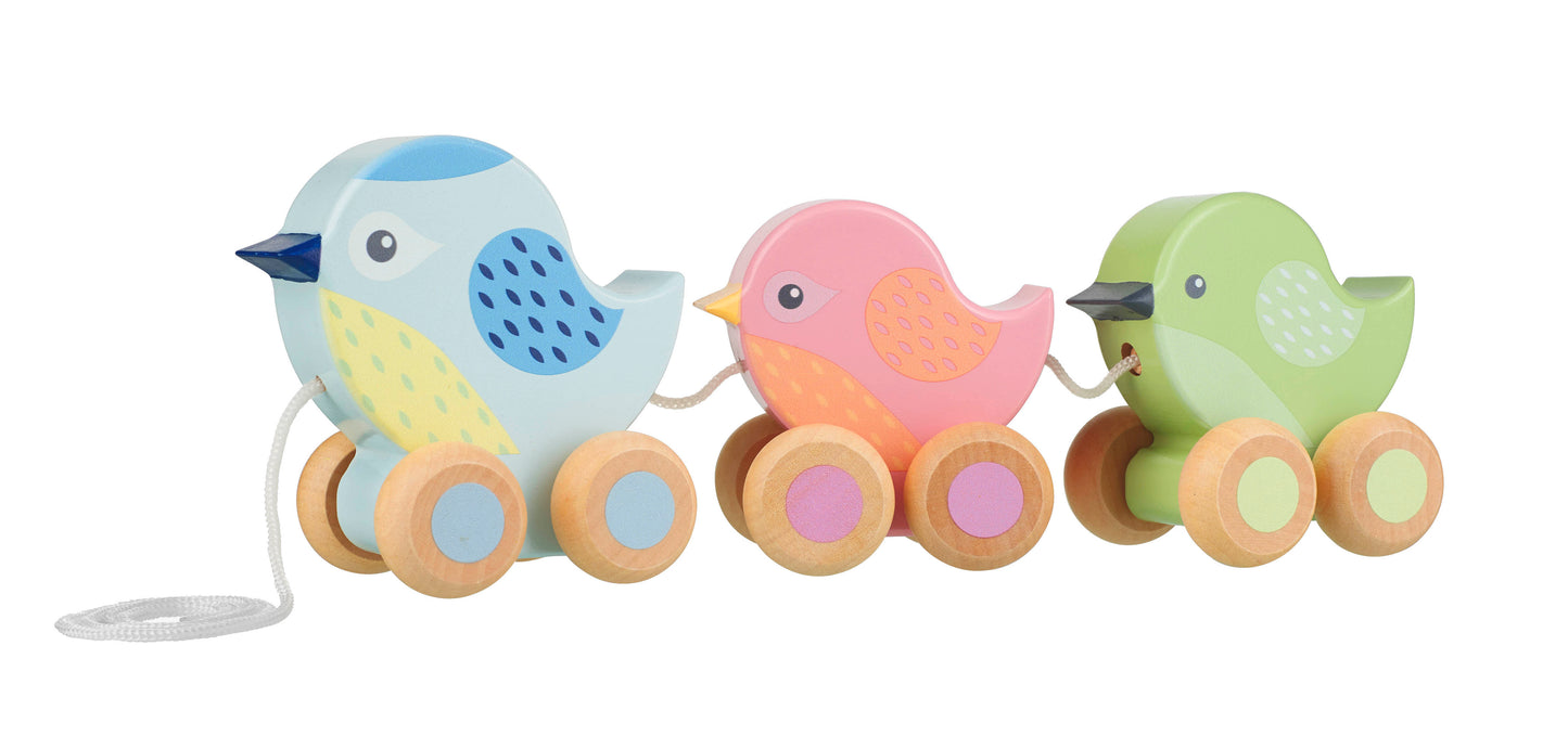 Wooden Pull Along Birdies