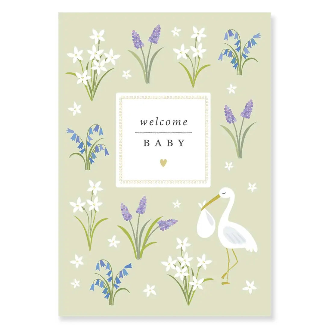 Welcome Baby