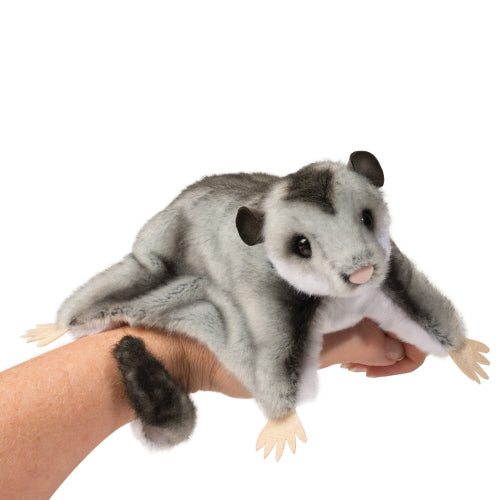 Squeek the Sugar Glider