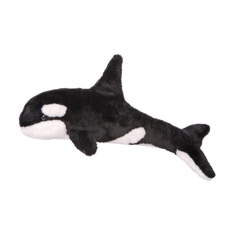 Sprout the Orca