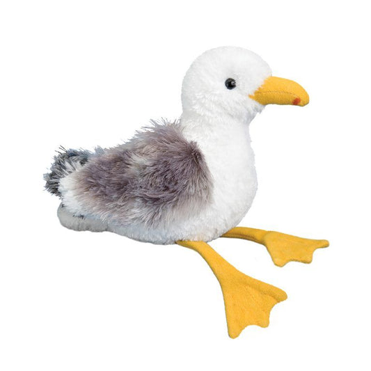 Seymour the Seagull