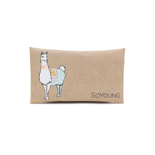 So Young Ice Pack - Groovy Llama