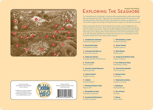Exploring the Seashore 35 Piece Tray Puzzle
