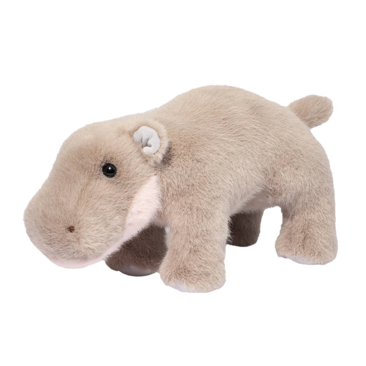 Nibbles the Pygmy Hippo