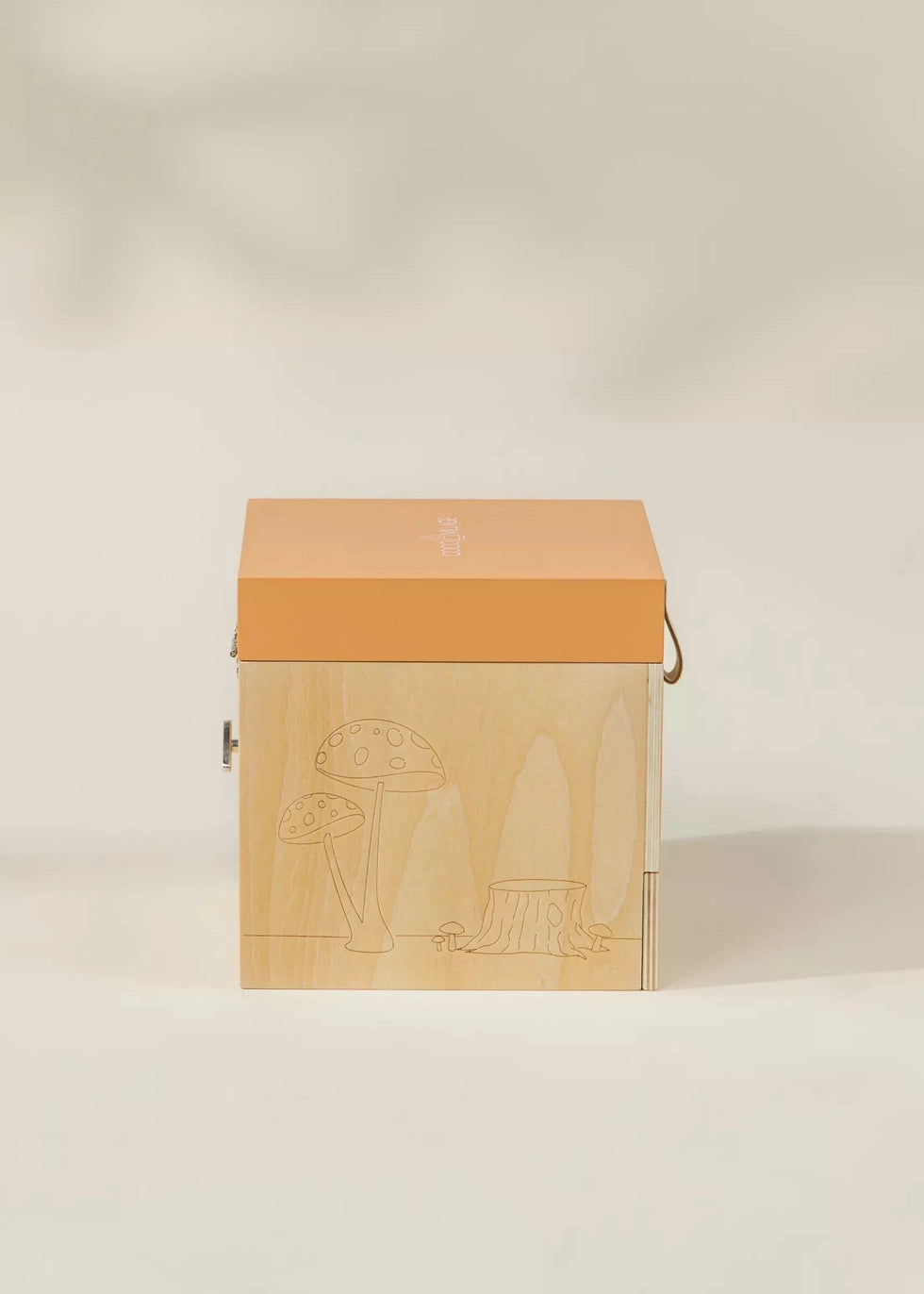 Wooden Musical Treasure Box - Nature