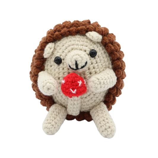 Heart Hedgehog DIY Crochet Kit