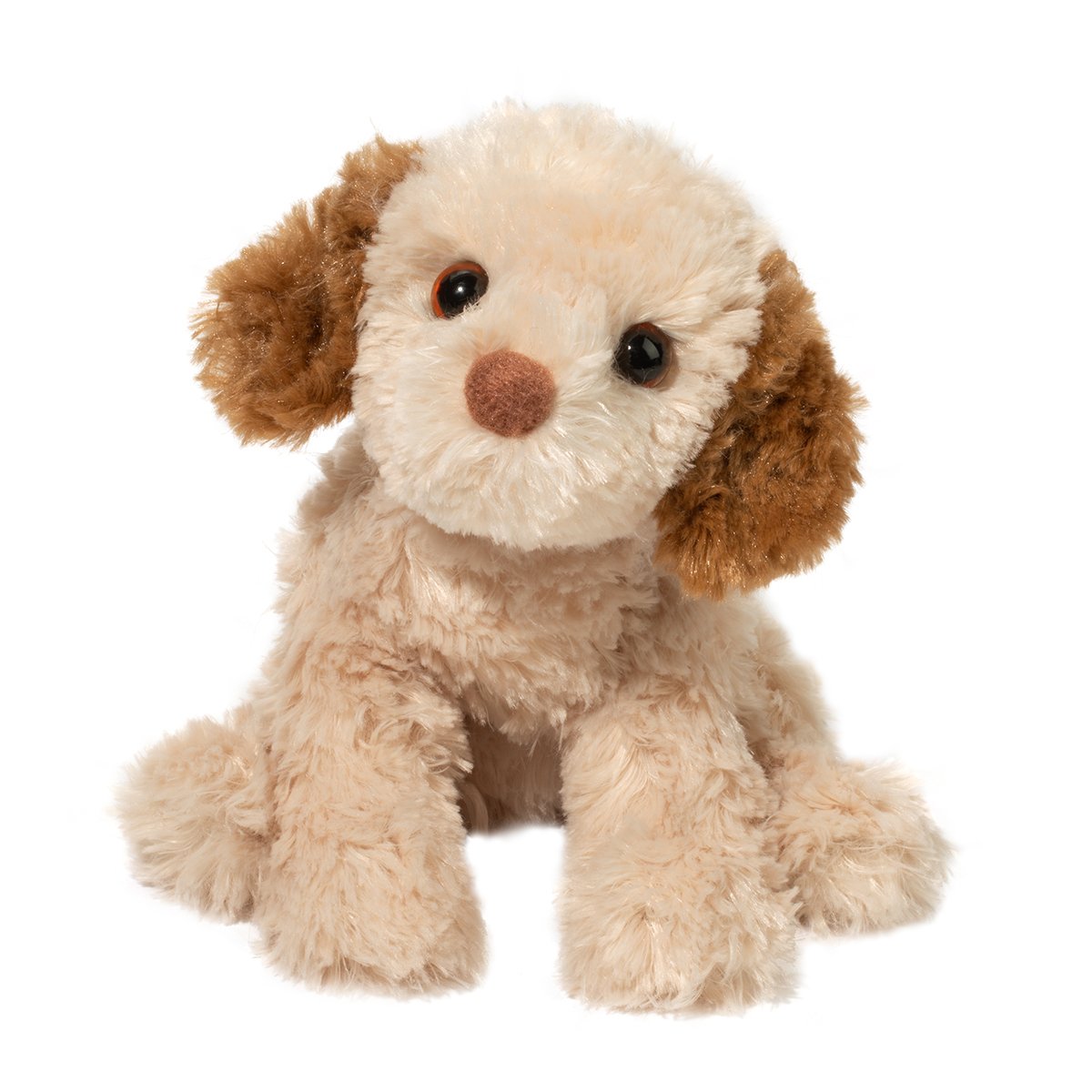 Biscuit the Cavapoo
