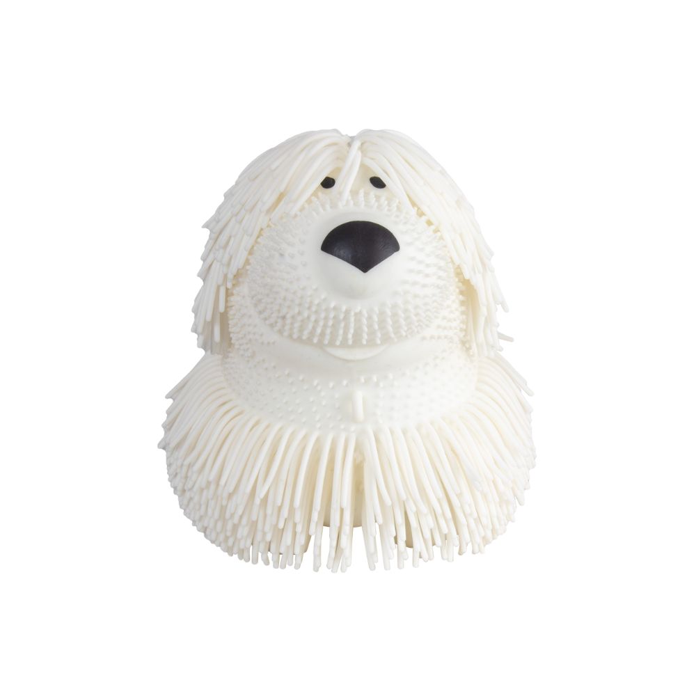 Shaggy Pup