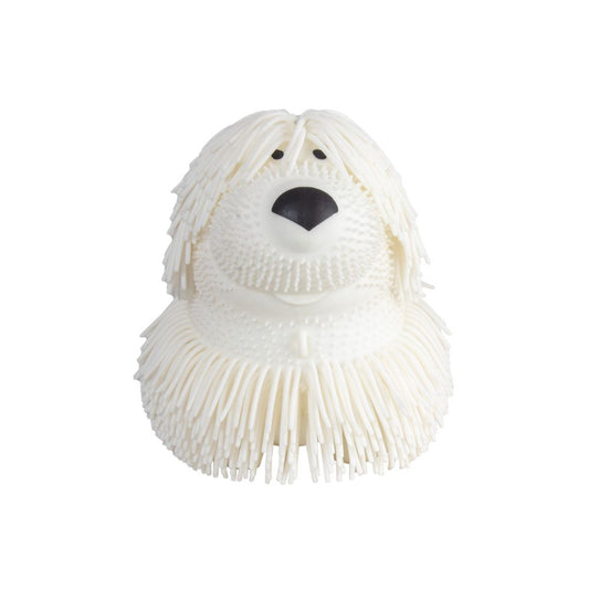 Shaggy Pup