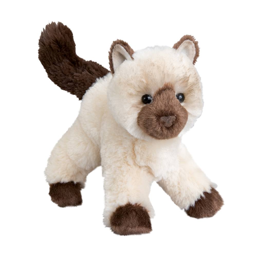 Hilda the Himalayan Cat