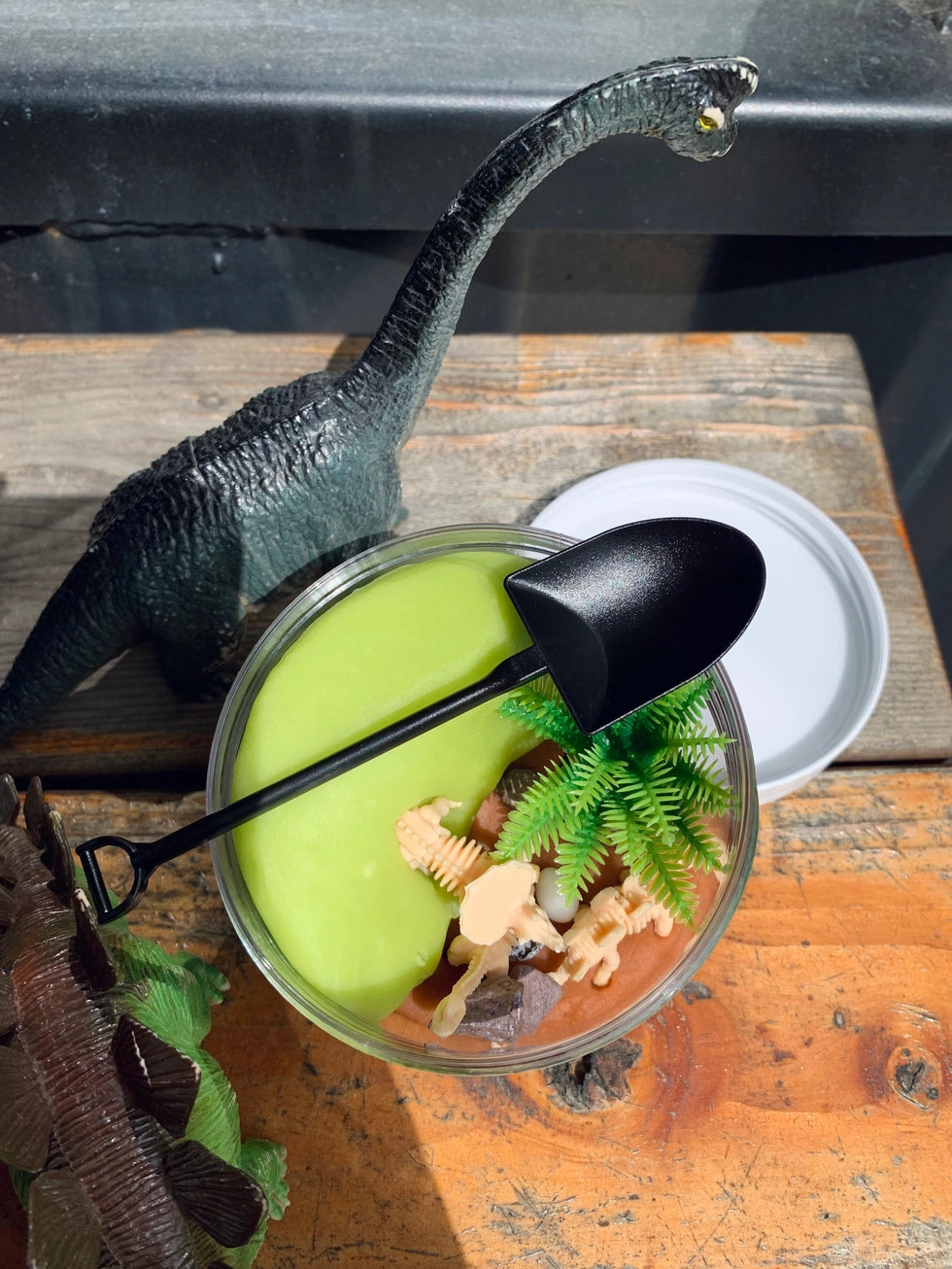Dino Dig Playdough Kit