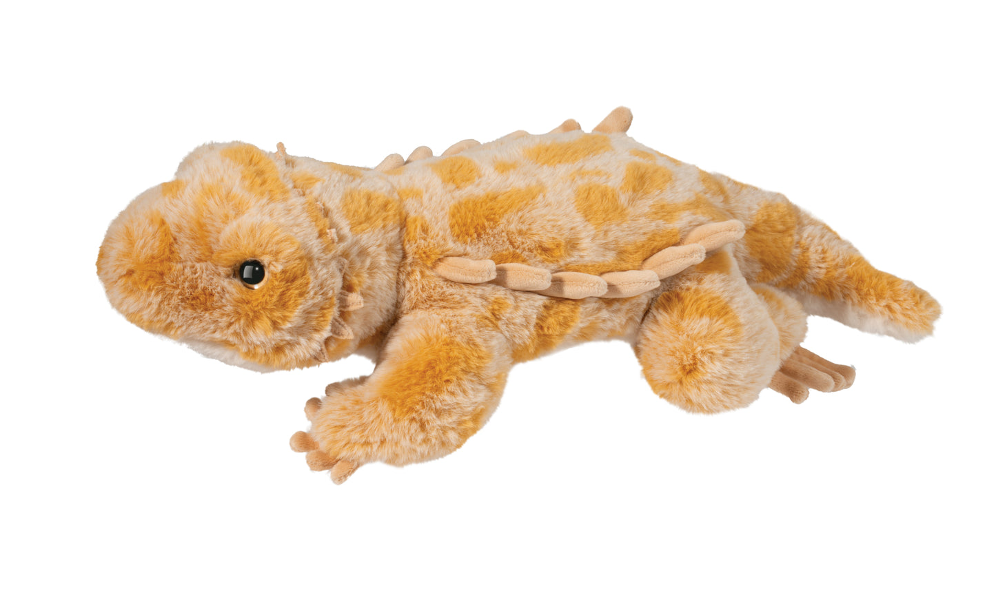 Boogie the Bearded Dragon