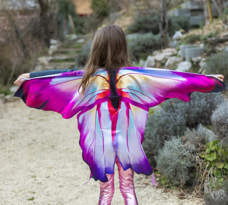 Ombre Butterfly Wings