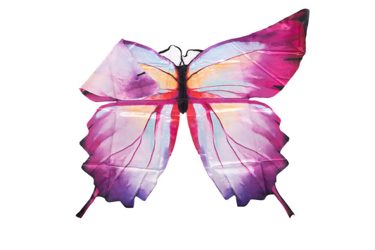 Ombre Butterfly Wings