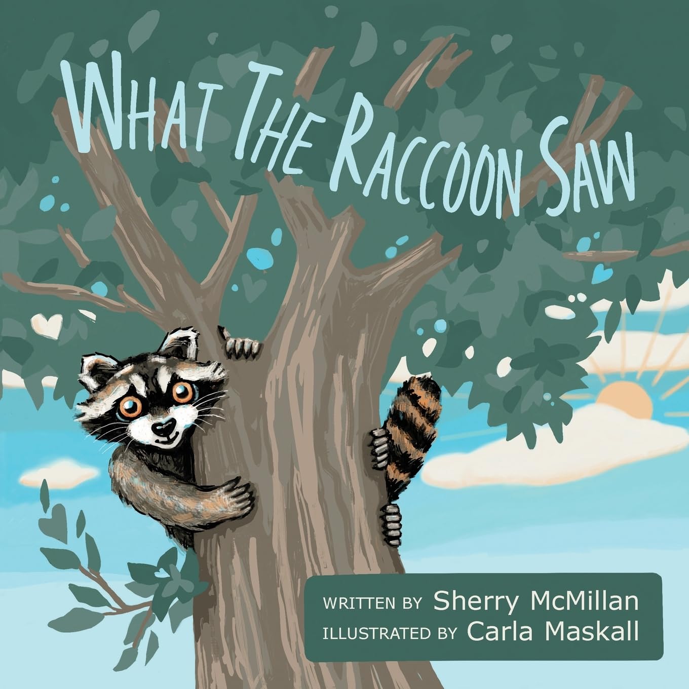 What The Raccoon Saw