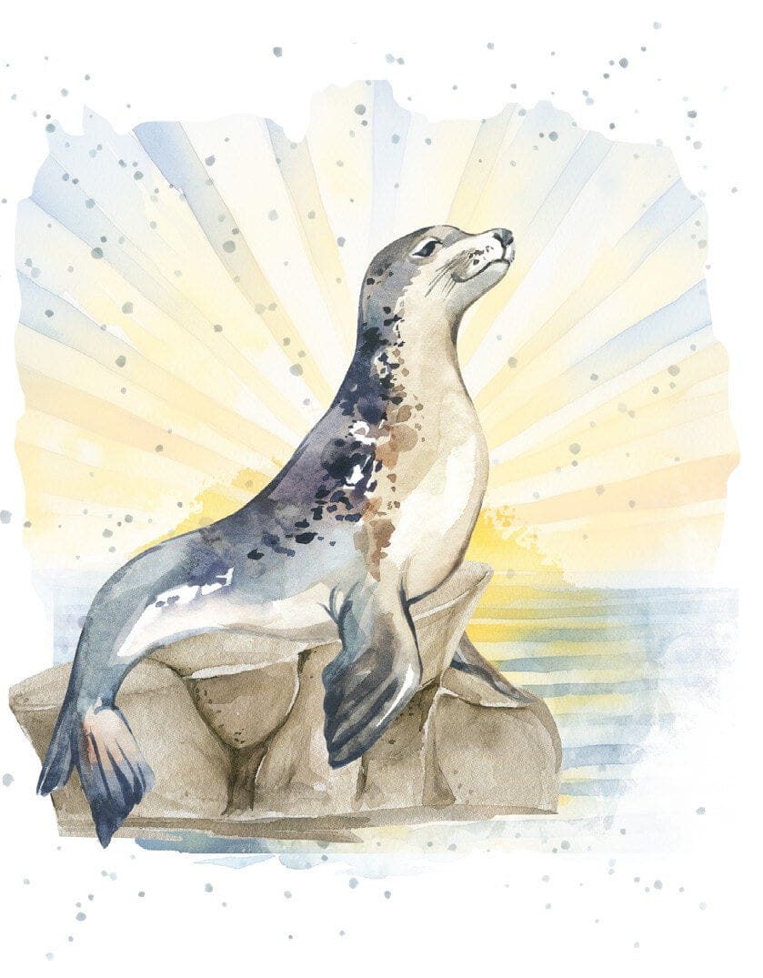 Seal of Approval