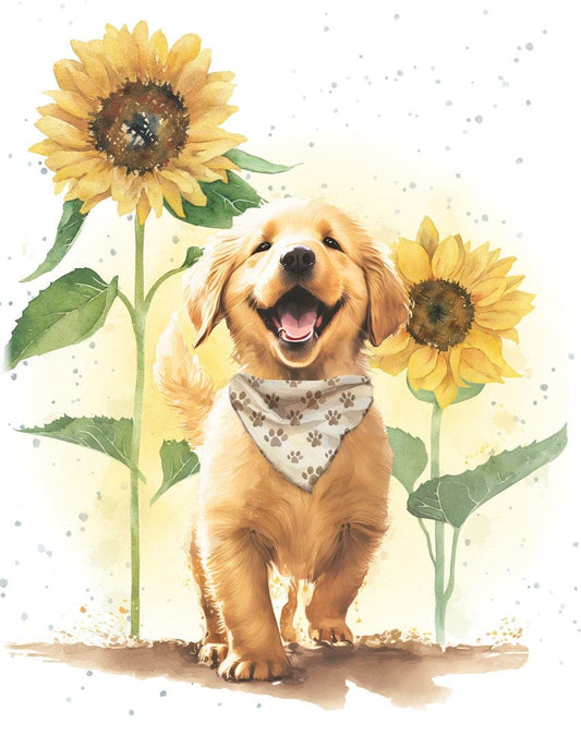 Filled with Sunshine