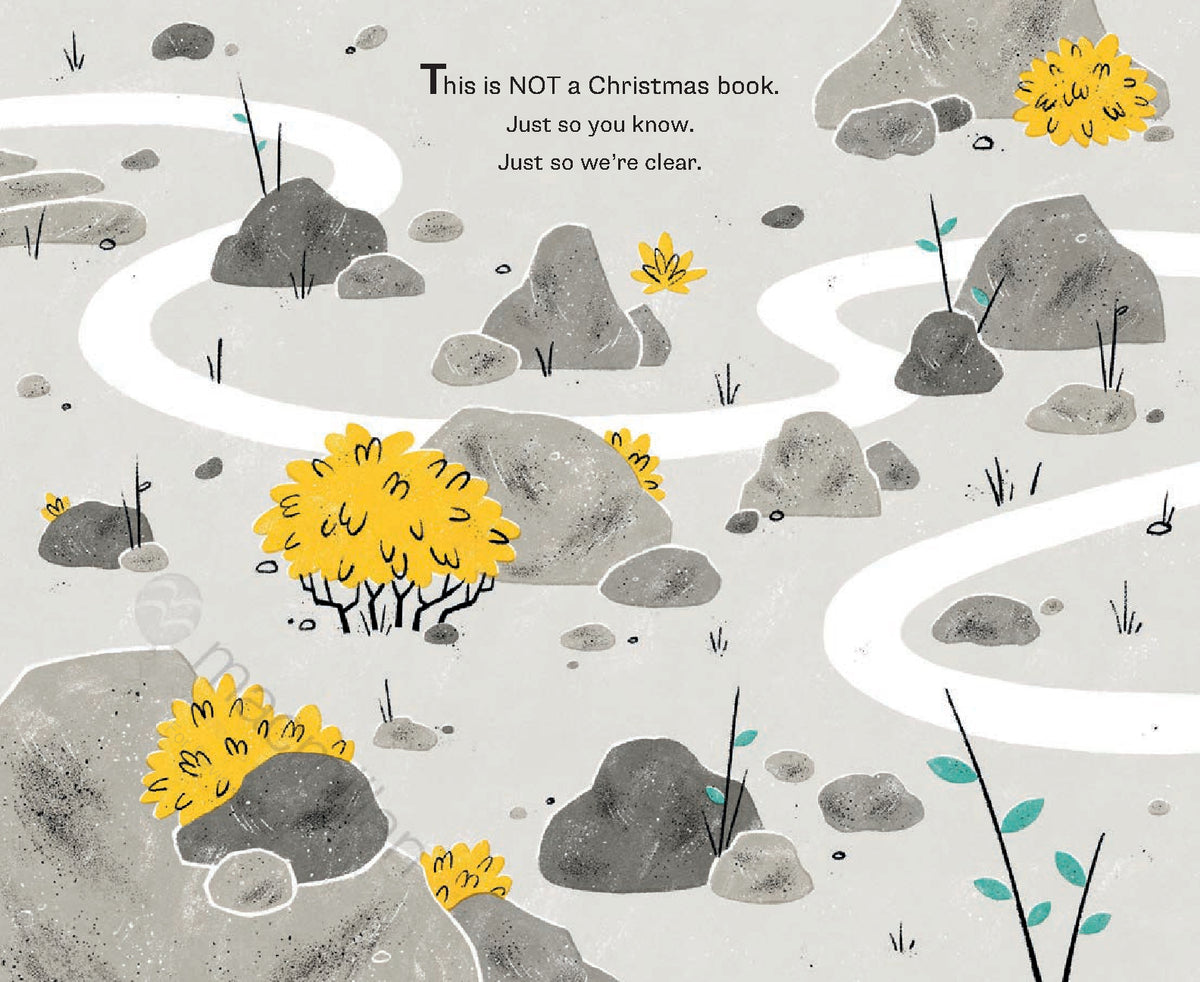 This is NOT a Christmas Book (this is a book about rocks)