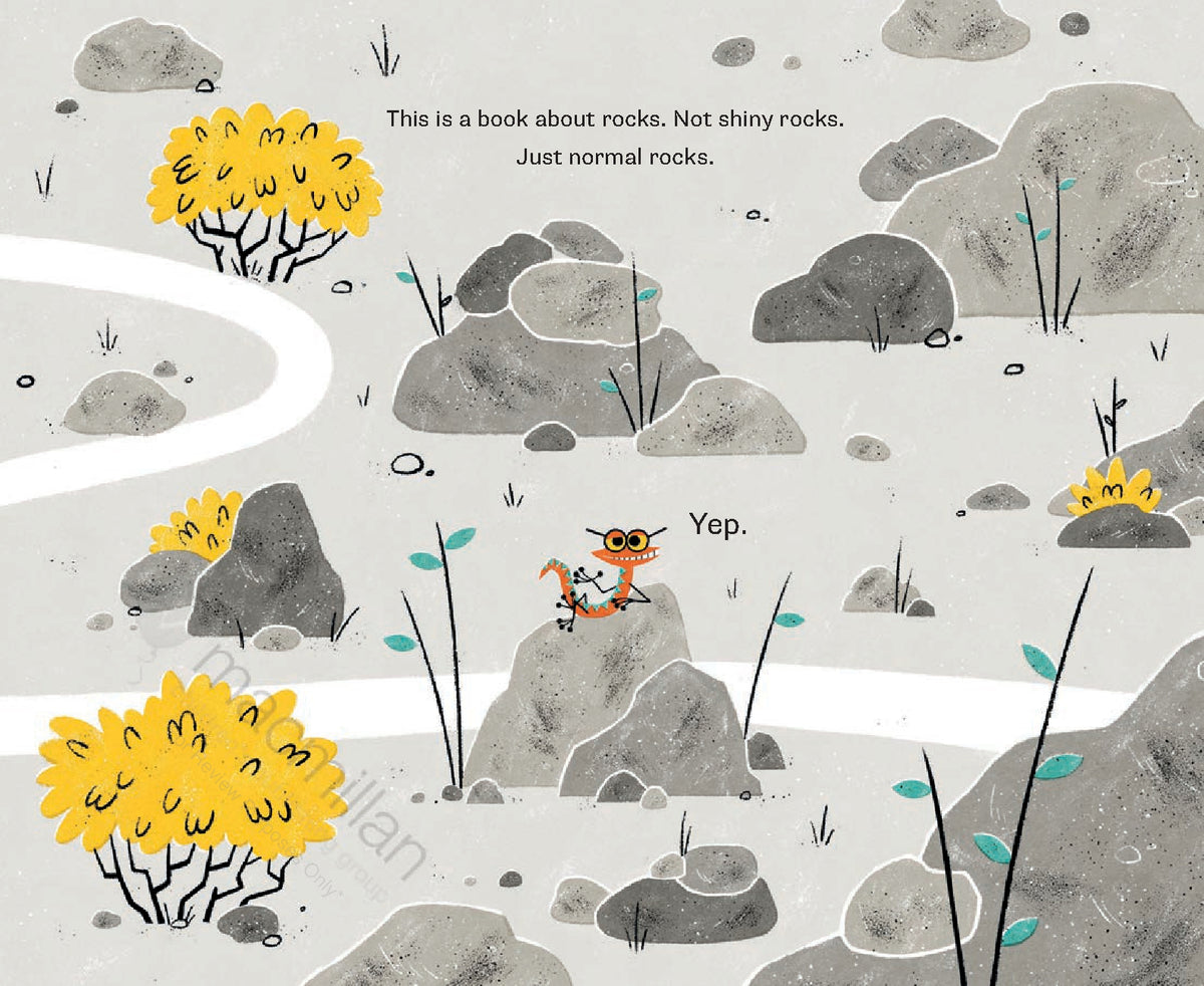 This is NOT a Christmas Book (this is a book about rocks)