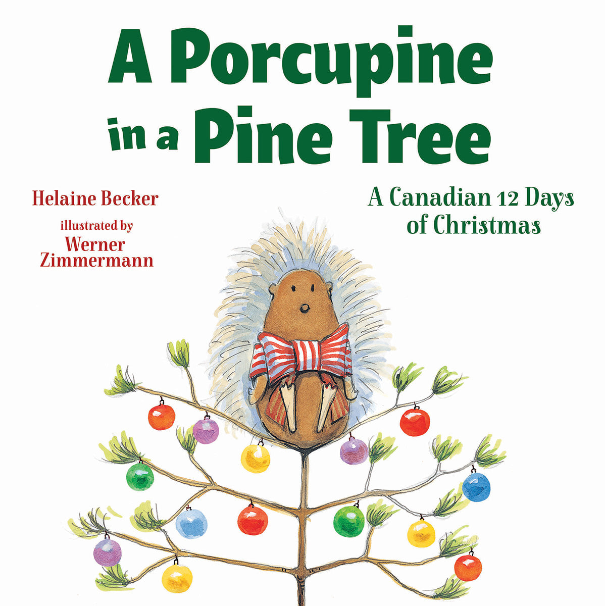 A Porcupine in a Pine Tree