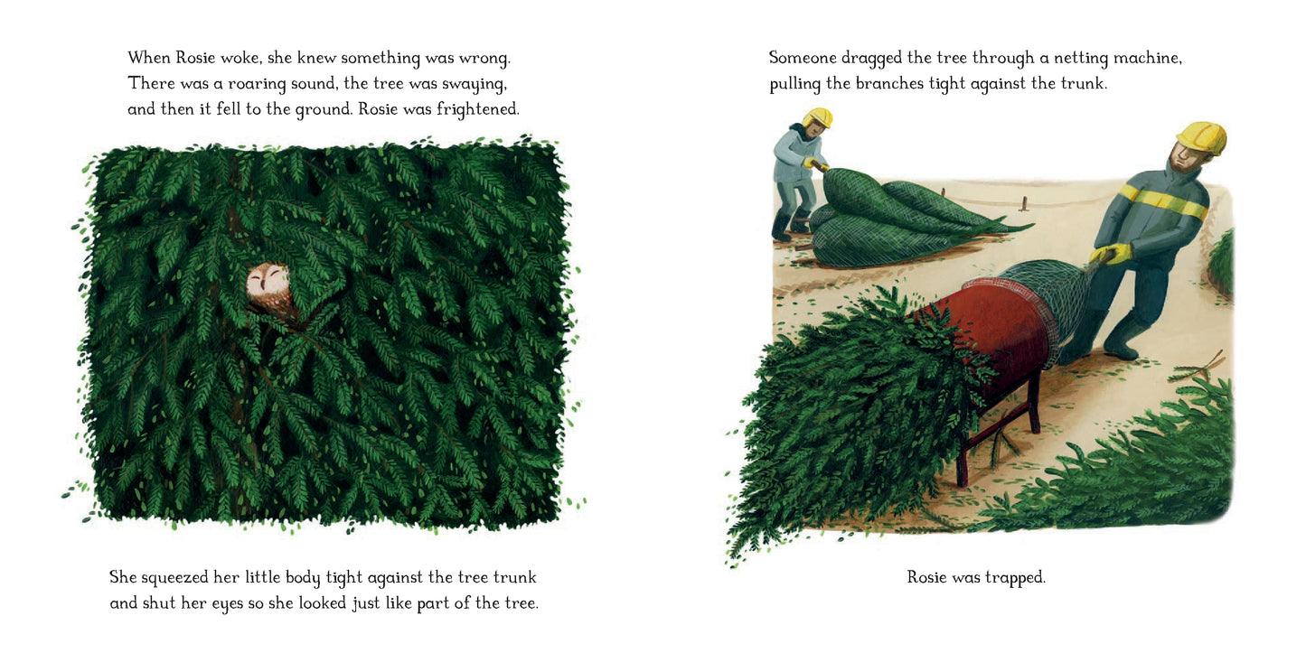 The Owl Who Came for Christmas