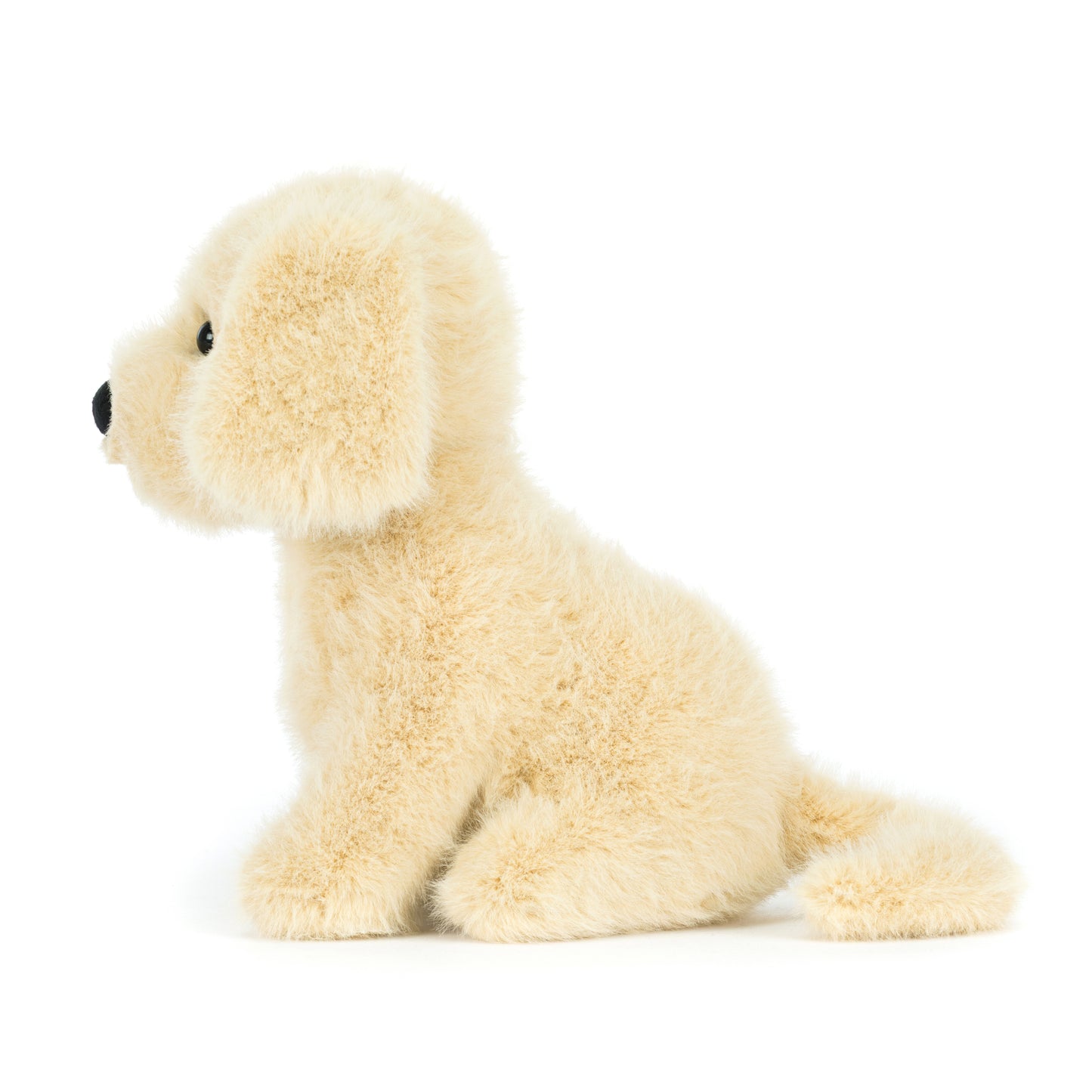 Golden Puppy