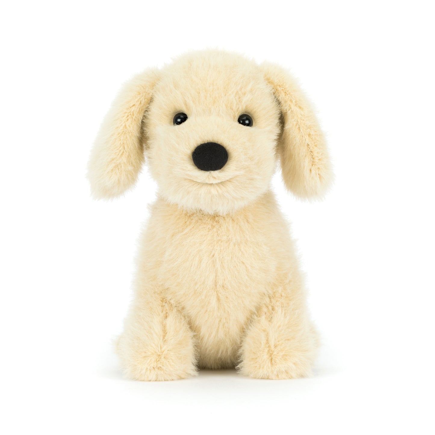Golden Puppy