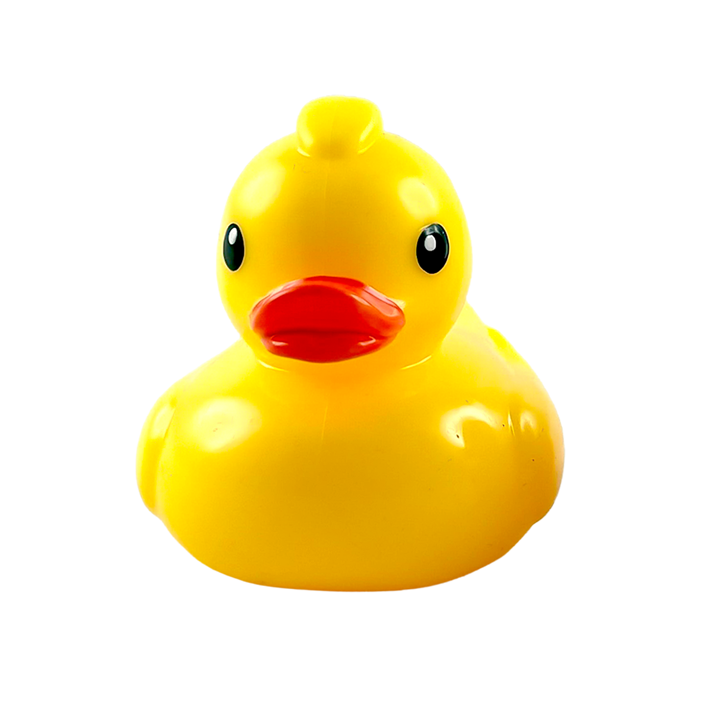 Squishi Peek-ing Duck