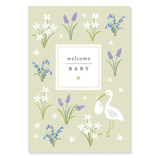 Welcome Baby