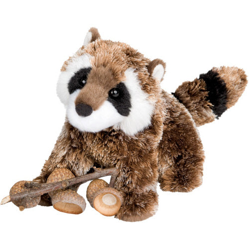 Patch the Raccoon