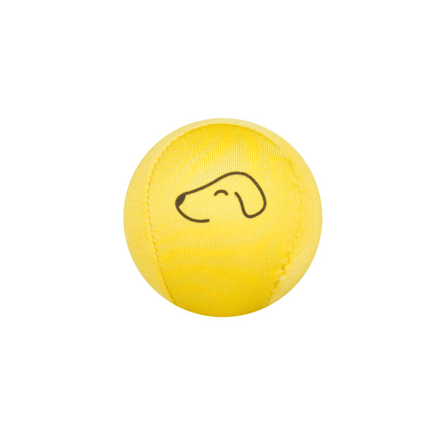 Dog fetch ball best sale